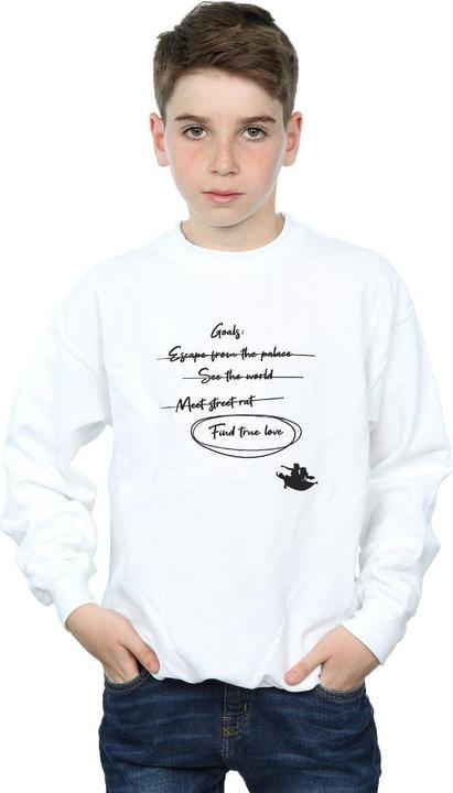 Actual product image Disney Boys Aladdin Jasmine Goals Sweatshirt (116)