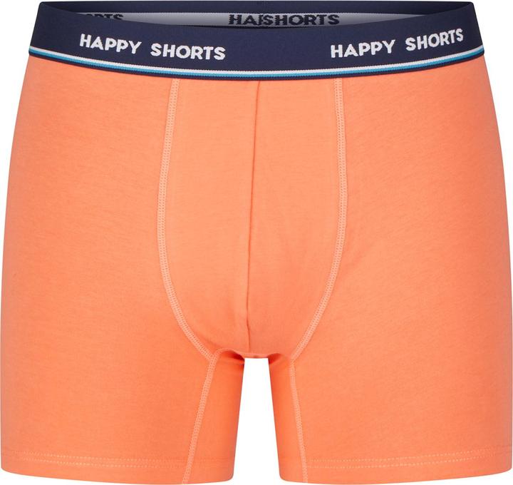 Actual product image Happy shorts Retro Pants Jersey (L, pack of 3)