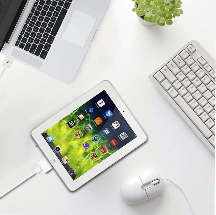 Actual product image PowerGuard Adapter (Lightning, 30-pin)