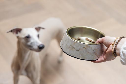 Actual product image Designed by Lotte Dog bowl Meis (0.35 l)