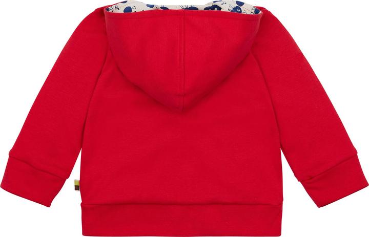 Produktbild loud + proud Kapuzenjacke (80)