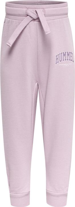 Image du produit hummel Pantalon Fast Apple (56)