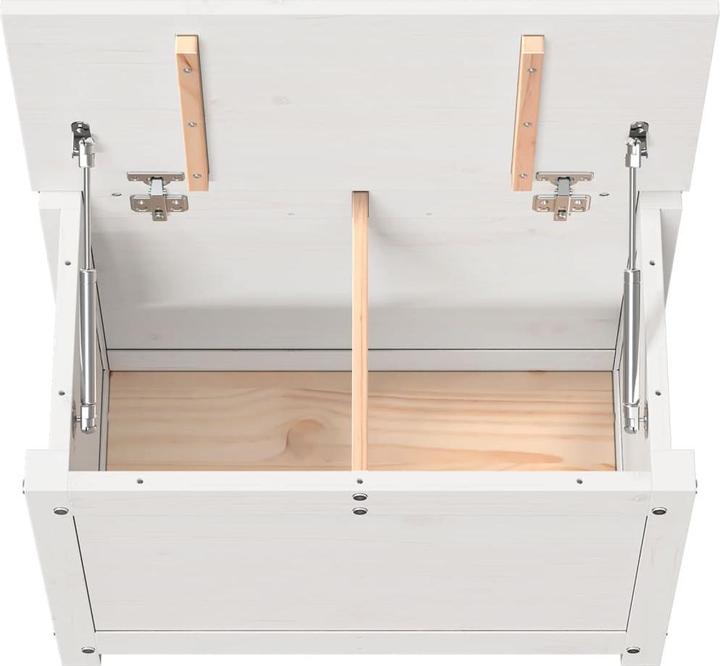 Actual product image VidaXL Truhe