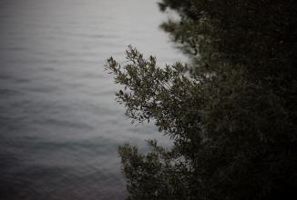 Immagine prodotto Voigtländer Nokton 50mm / 1,2 VM asfalto. (Leica M, Full-frame)