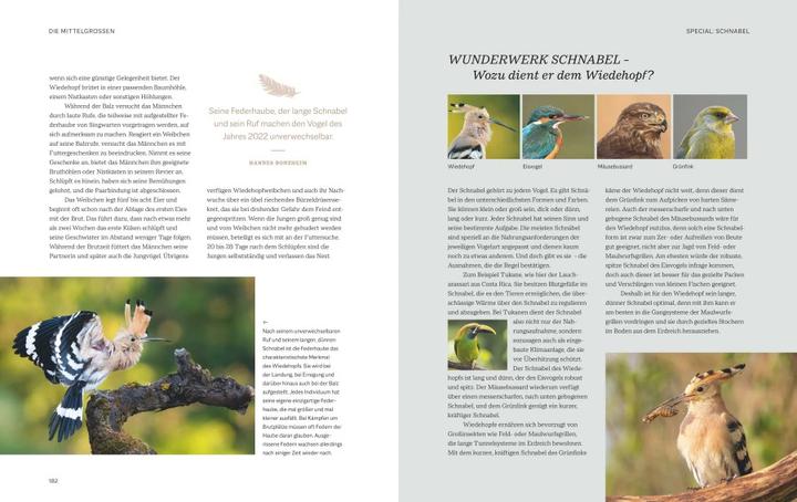 Immagine prodotto Die magische Welt unserer Vögel (Tedesco, Matthias Futterer, Hannes Bonzheim, 2022)