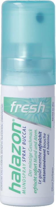 Image du produit Halazon Fresh fresh spray buccal sans gaz (15 ml, Vaporisateur buccal)