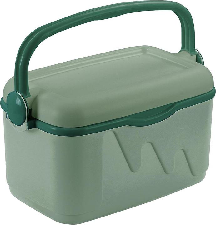 Immagine prodotto Curver Box frigo 10l verde (10 l)