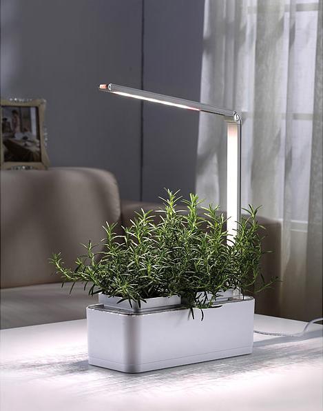 Image du produit Carlo Milano Kit de 2 systèmes intelligents de culture de plantes, LEDs, minuterie, 1,5 L