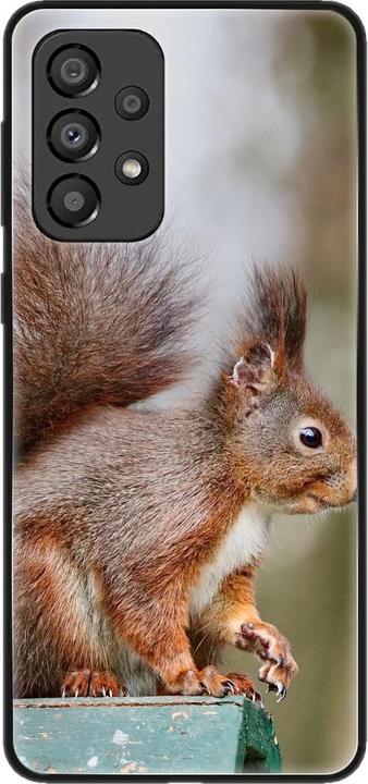Squirrels