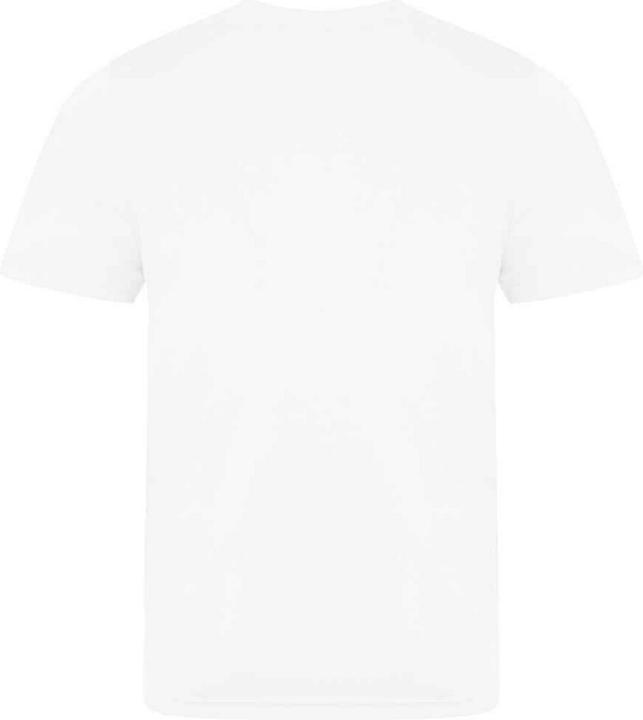 Actual product image Awdis Unisex Adult Smooth T-Shirt (XL)