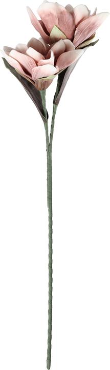 Actual product image EGLO LIVING Molave (83 cm)
