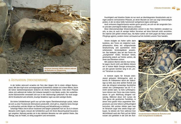 Immagine prodotto Testudo kleinmanni (Tedesco, Christine Dworschak, 2018)