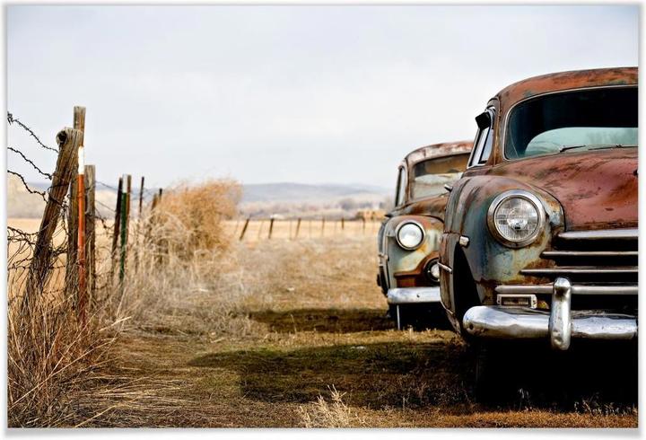 Image du produit Trenddeko Old rusted Cars (45 x 30 cm)
