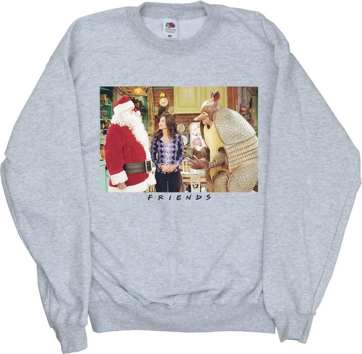 Produktbild Friends Christmas Armadillo Sweatshirt Mädchen (140, 146)