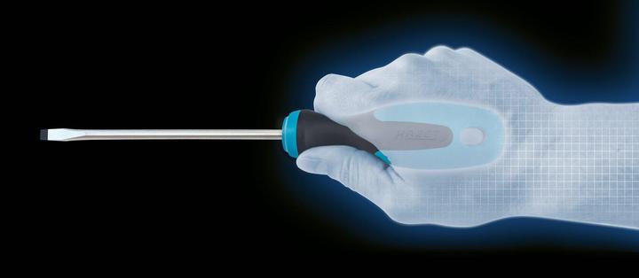 Actual product image HAZET Screwdriver set 810/6 ∙ Cross recess profile PH, Slot profile ∙ 0,5 x 3 ∙ 0,8 x 4 ∙ 1 x 5,5 ∙… (Port, Phillipps cross recess (PH))