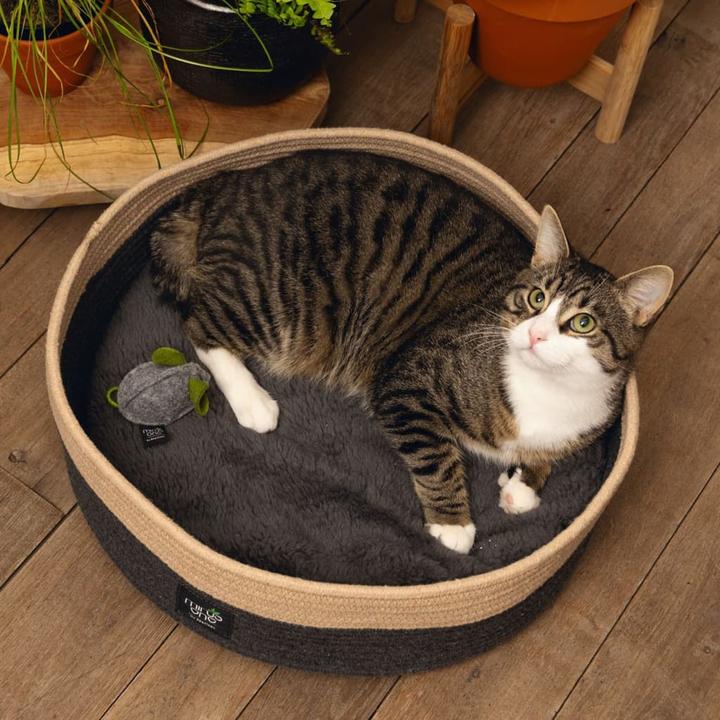Immagine prodotto Beeztees Xana (Gatto)