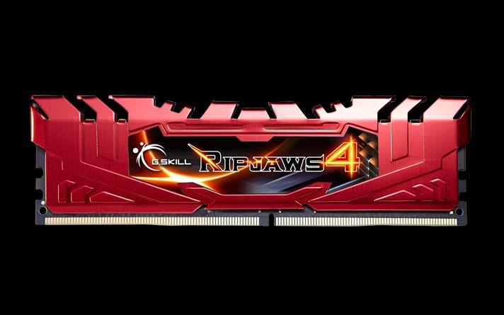 Produktbild G.Skill Ripjaws 4 (2 x 8GB, 2400 MHz, DDR4-RAM, DIMM)