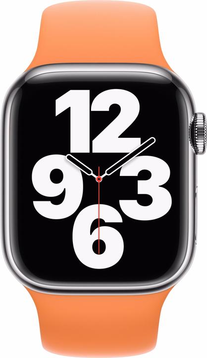 Actual product image Apple Sport Band Demo