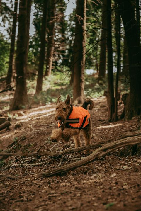 Produktbild Weatherbeeta Comfitec Reflektierender Parka 300D Hundemantel (25, Hundemantel)