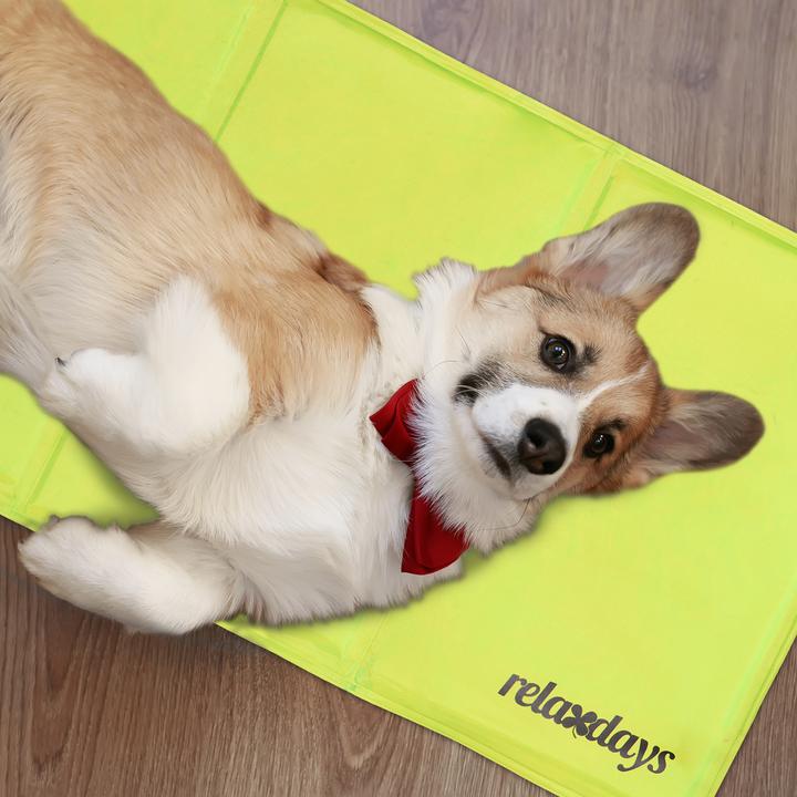 Immagine prodotto Relaxdays Tappetino refrigerante, cane (Cane)