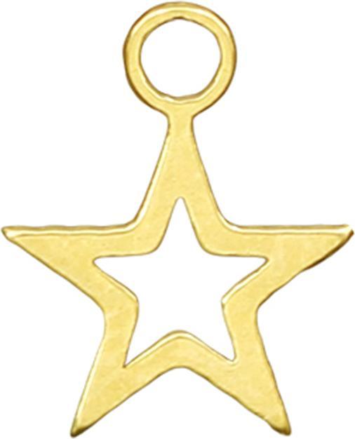 Image du produit Star Piercing Anhänger vergoldet Stern (Acier chirurgical 316L, sans laiton)