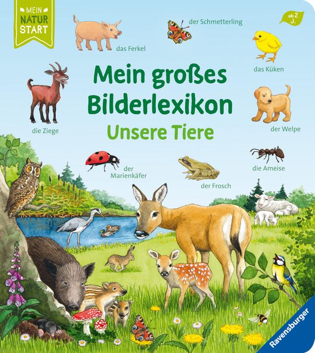 Produktbild Ravensburger Mein grosses Bilderlexikon: Unsere Tiere (Deutsch, Susanne Gernhäuser, Anne Ebert, 2021)