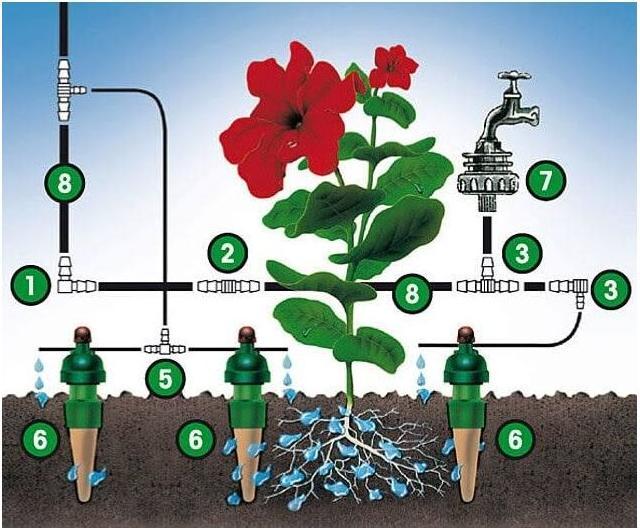 Actual product image Blumat Plant watering angle (Drip irrigation set)