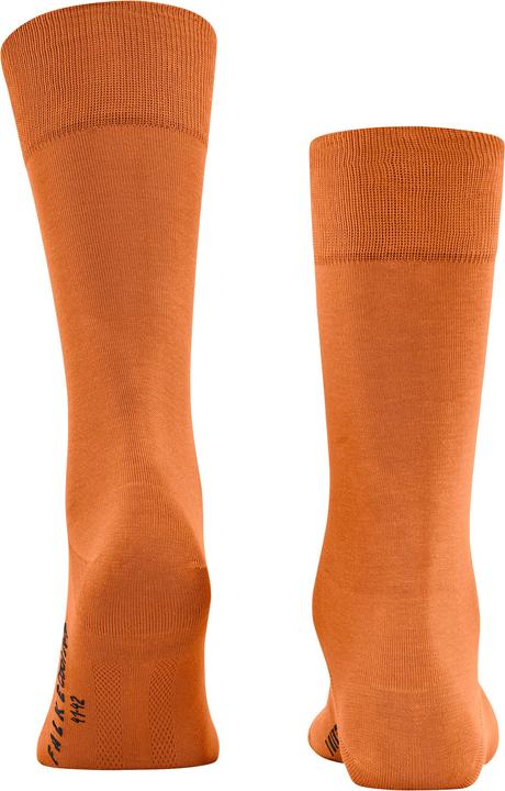 Image du produit Falke Cool 24/7 Men (39 - 40)