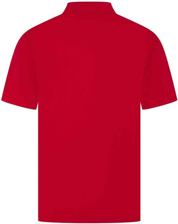 Immagine prodotto Henbury Maglietta Polo Uomo (5XL)