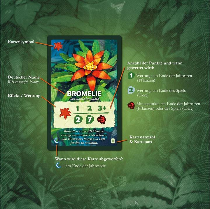 Produktbild Kosmos Baumkronen, d (Deutsch)