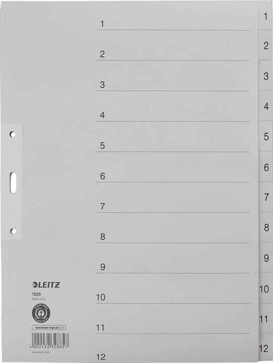 Actual product image Leitz Register paper