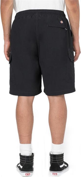 Image du produit Dickies Short cargo Jackson (L)