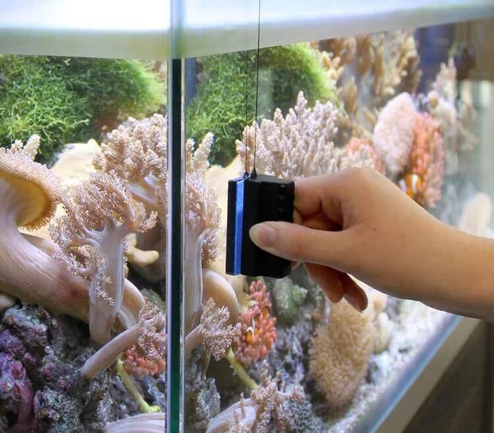 Actual product image Marina Magnetic disk cleaner L 8x6x3.5cm (Aquarium cleaning, Magnetic cleaner)