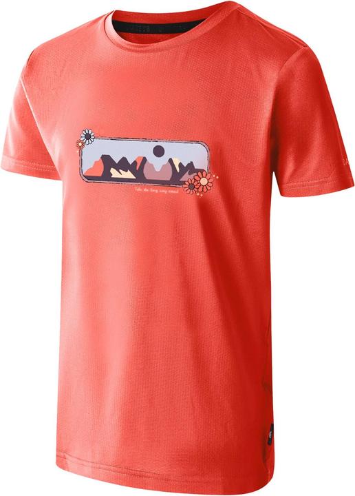 Actual product image Dare2b Childrens/Kids Amuse II Mountain T-Shirt (158)