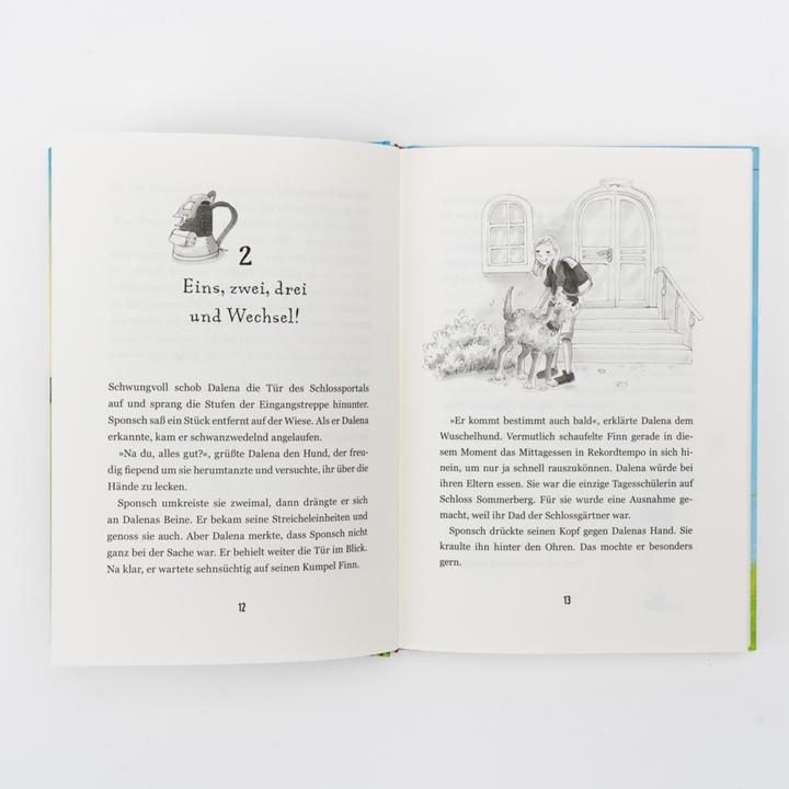 Produktbild Internat Schloss Sommerberg - Fünf Pfoten und der geheimnisvolle Steinbruch (Deutsch, Susanne Oswald, 2023)