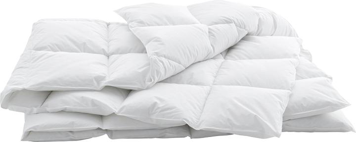 Produktbild Swiss Dream by billerbeck Cassette Classic 90 (650 g, 160 x 210 cm)