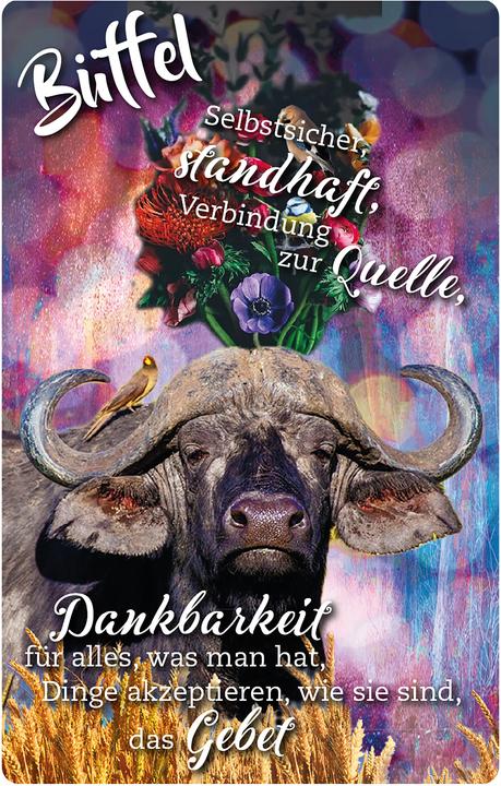 Actual product image Krafttier-Orakelkarten (German, Eva Katharina Young, 2021)
