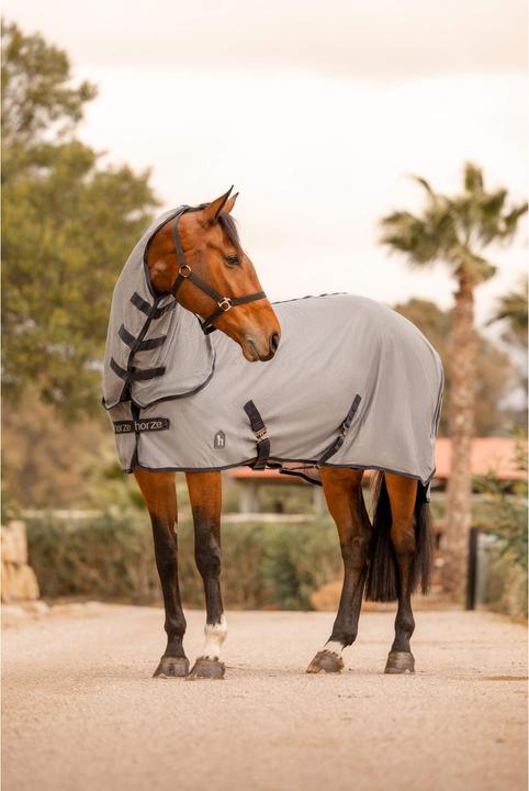 Immagine prodotto Horze Paso Fino