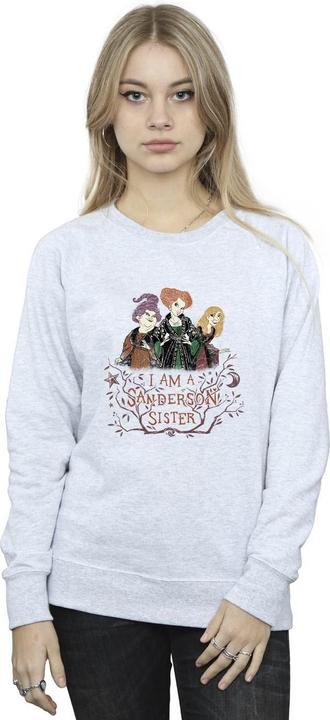 Actual product image Disney Womens/Ladies Hocus Pocus Sanderson Sister Sweatshirt (L)
