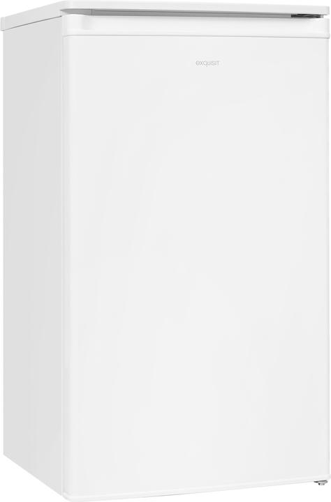 Exquisit EXQ KS 117-3-040 E Refrigerator (81 l)