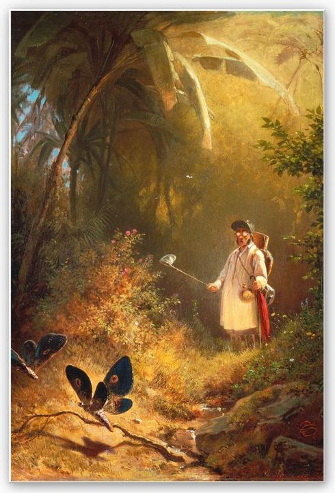 Produktbild Trenddeko Spitzweg - Der Schmetterlingsfänger (20 x 30 cm)