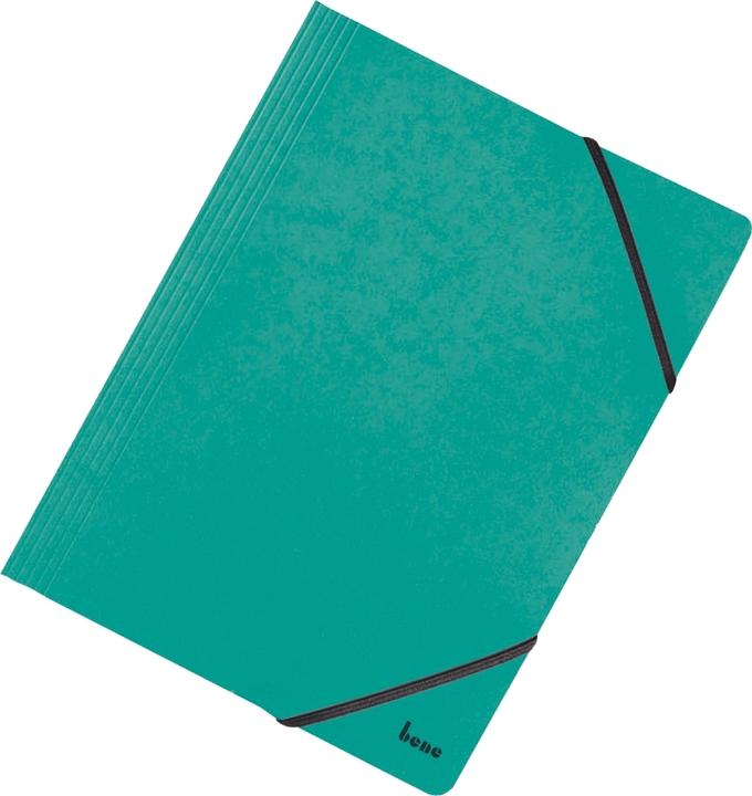 Image du produit Bene Farde à relier DIN A4 vert (A4, 1 x)