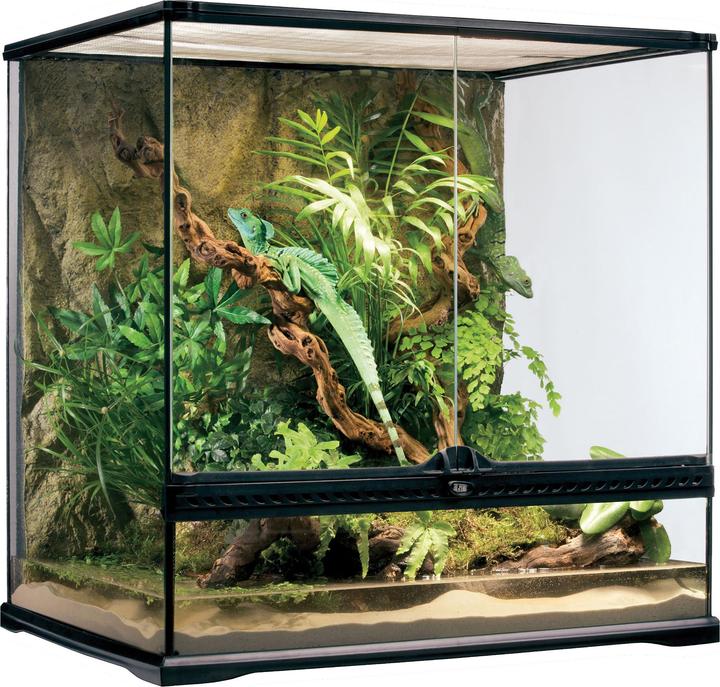 Exo Terra Terrario in vetro 60x45x60cm