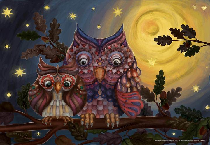 DToys Puzzle 100 pieces 2 Owls (100 pieces)