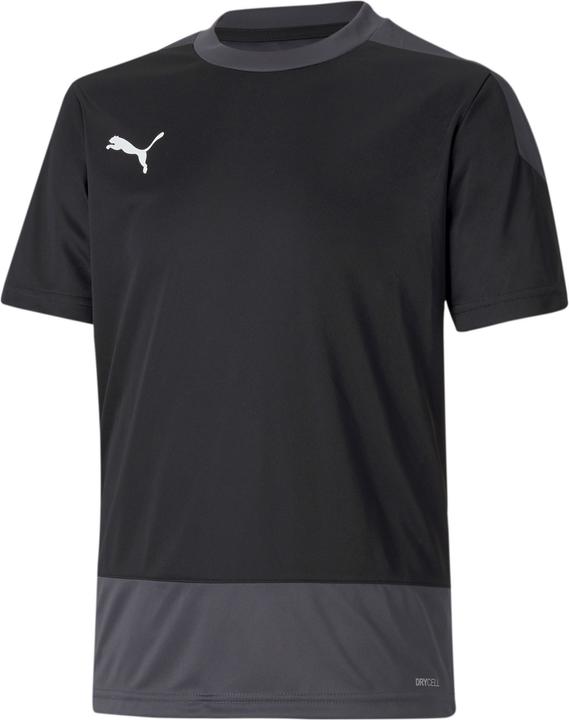 Image du produit Puma Maillot teamGOAL 23 TRG Jr-656569 (128)