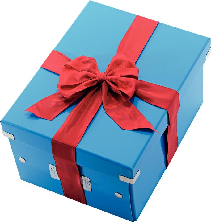 Actual product image Leitz WOW Click & Store storage box (A4)