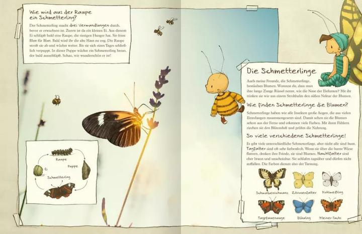 Produktbild Die kleine Hummel Bommel entdeckt die Wiese (Deutsch, Britta Sabbag, Maite Kelly, 2019)