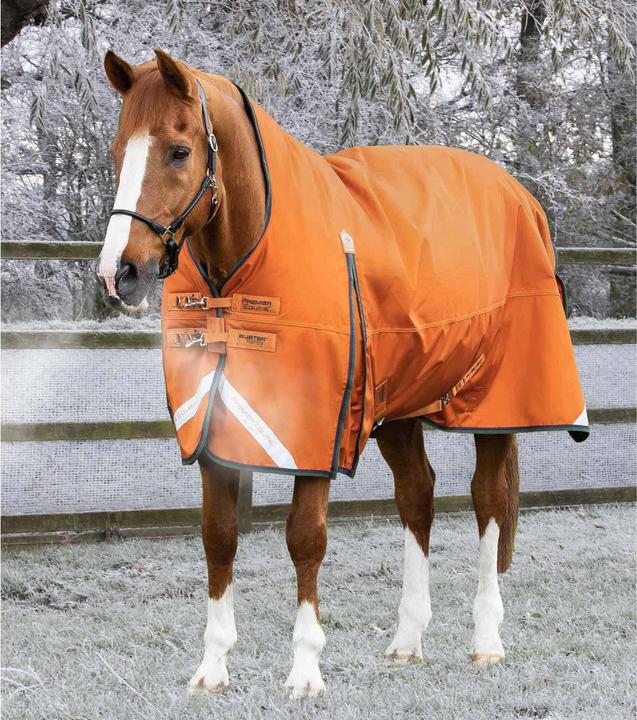 Orange Brûlé