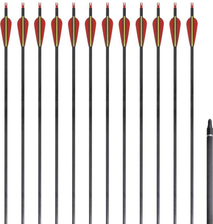 Actual product image VidaXL Arrow set