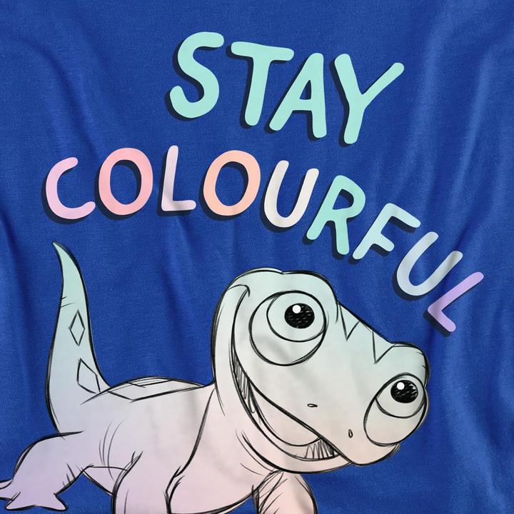 Actual product image Disney Frozen Unisex Adult Stay Colourful Bruni T-Shirt (XL)